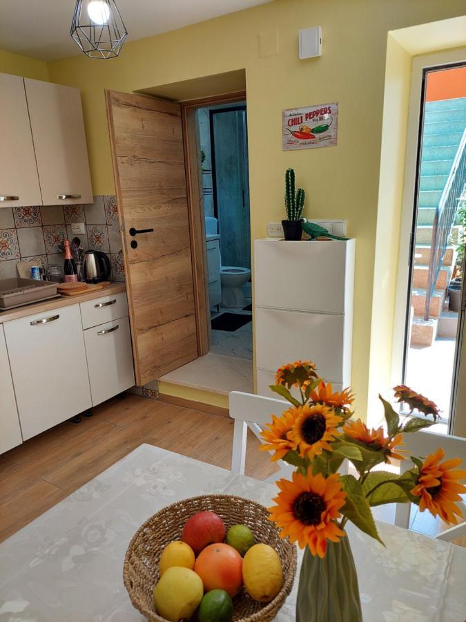 Mexicana Apartment Yellow Задар Екстериор снимка