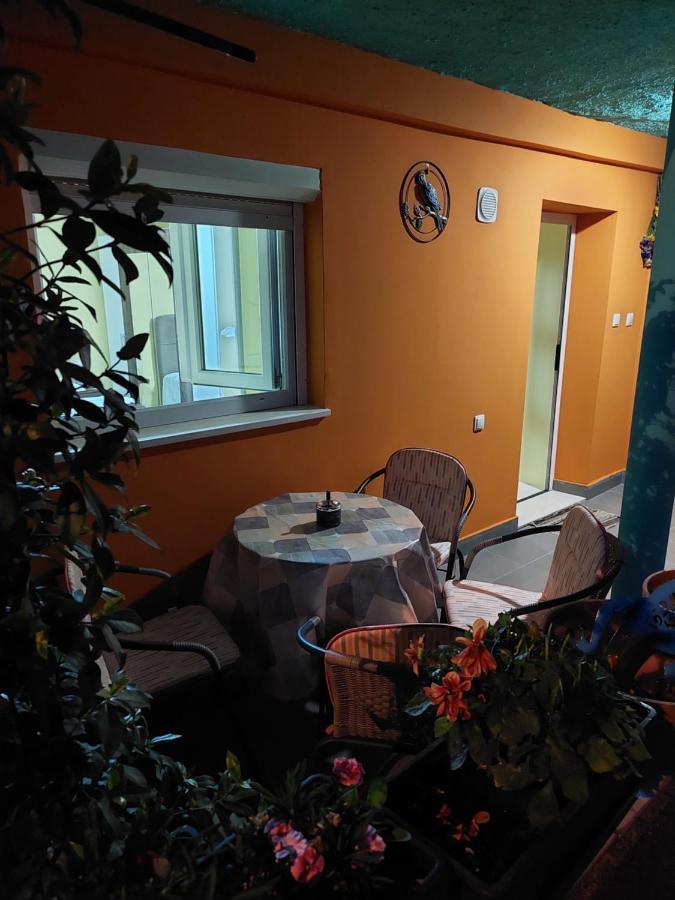 Mexicana Apartment Yellow Задар Екстериор снимка