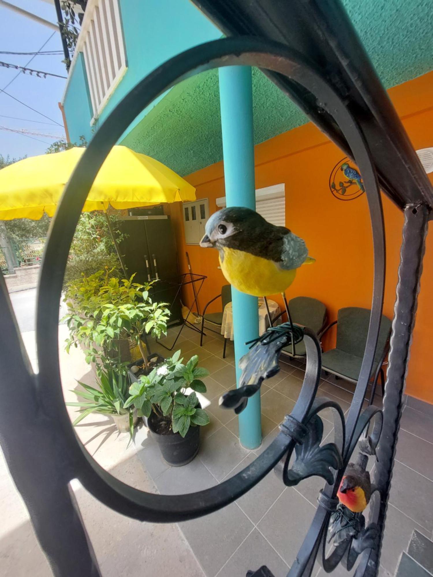 Mexicana Apartment Yellow Задар Екстериор снимка