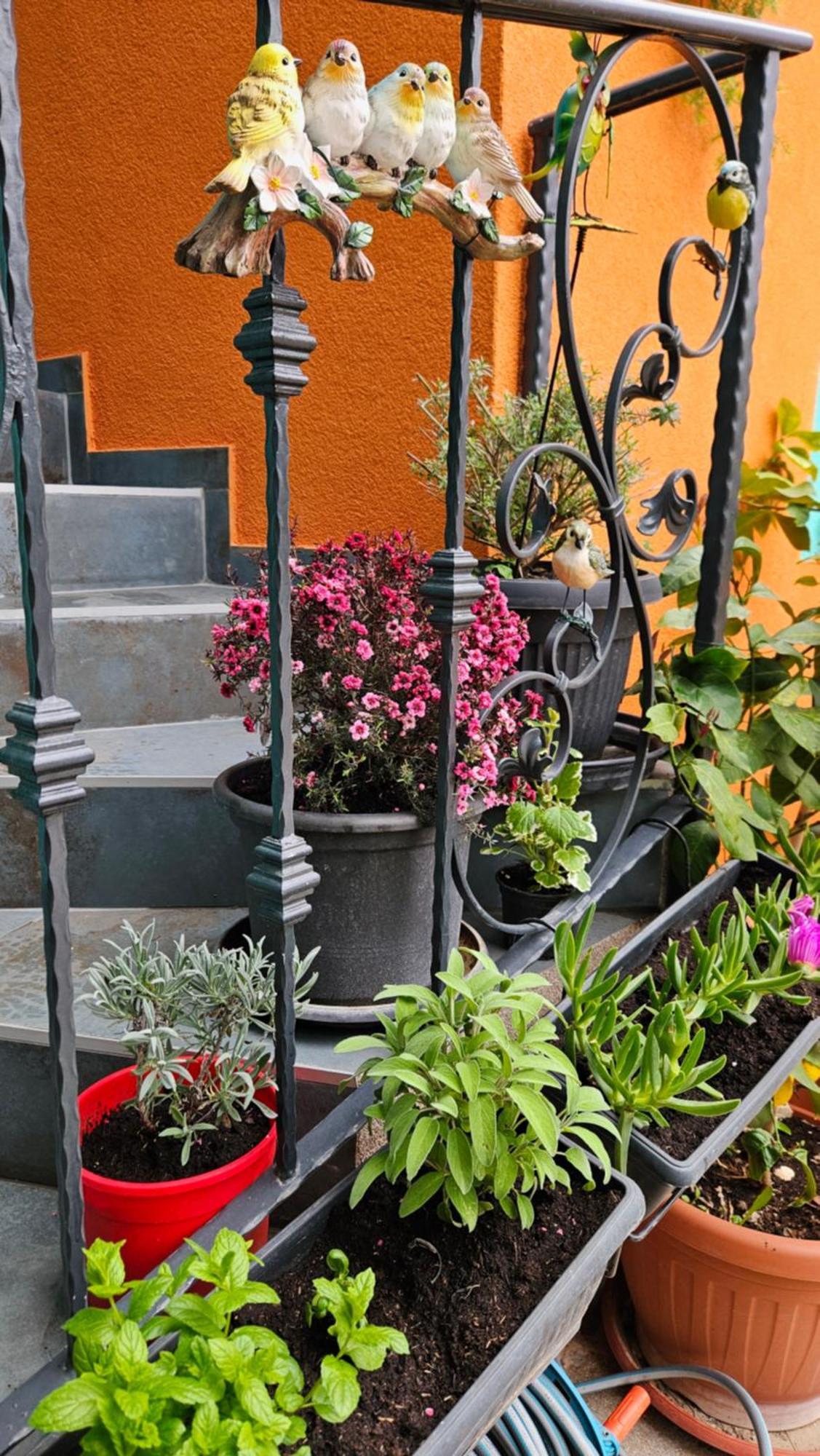 Mexicana Apartment Yellow Задар Екстериор снимка