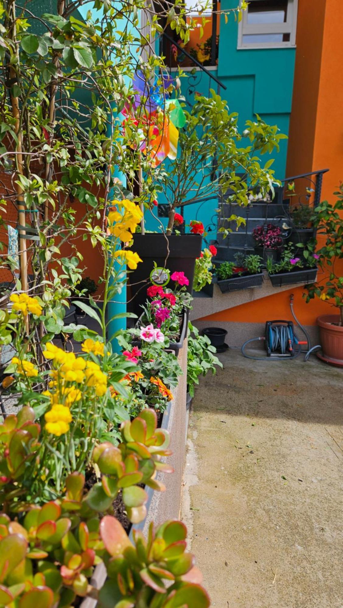Mexicana Apartment Yellow Задар Екстериор снимка