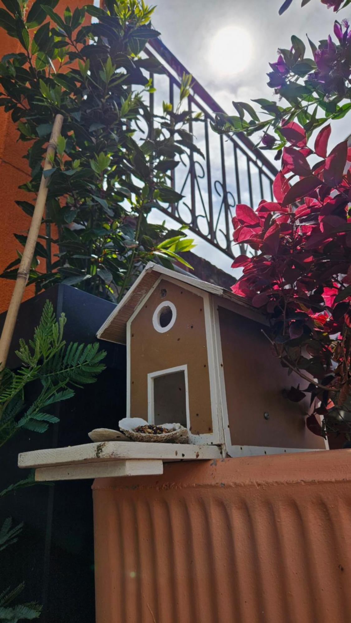 Mexicana Apartment Yellow Задар Екстериор снимка
